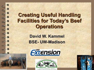 Creating Useful Handling Facilities for Today’s Beef Operations David W. Kammel BSE- UW-Madison 