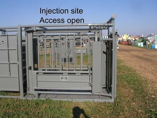 Injection site Access open 
