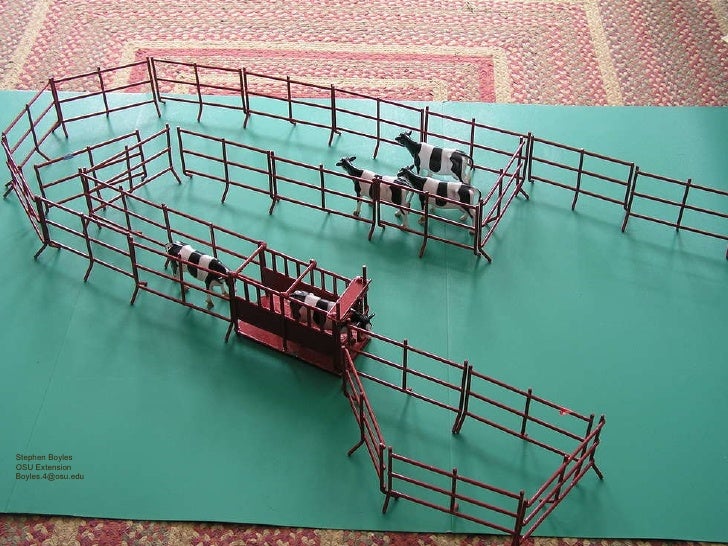 Tips for Creating Beef Cattle Handling Facilities