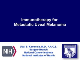 Immunotherapy for
Metastatic Uveal Melanoma
Udai S. Kammula, M.D., F.A.C.S.
Surgery Branch
National Cancer Institute
National Institutes of Health
 