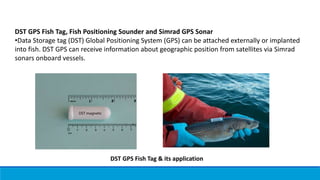 DST GPS Fish Tag, Fish Positioning Sounder and Simrad GPS Sonar
•Data Storage tag (DST) Global Positioning System (GPS) can be attached externally or implanted
into fish. DST GPS can receive information about geographic position from satellites via Simrad
sonars onboard vessels.
DST GPS Fish Tag & its application
 
