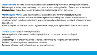 Parasitic Marks- Used to identify stocked fish and determining movement or migration patterns.
Advantages- are they have low survey costs, can be used on large bodies of water and are natural.
Disadvantages- trained personnel are required, mathematical errors can occur.
Morphological Marks- Used to differentiate stocked fish and for mark recapture studies.
Advantage is the low cost and one Disadvantage is that markings are subject to environmental
conditions which can change physical characteristics and overlapping of genotypic characteristics of
populations.
Some examples are meristic counts, pigmentation, shape, size, age marks of otoliths or scale etc.
Genetic Marks- Used to identify fish stock.
Advantage is the effectiveness in identifying fish stocks compared to morphological
methods.
Disadvantage is in preserving blood samples and developing reagents and equipment.
Another disadvantage is the analysis can be costly.
Two examples are electrophoresis and serological method.
 