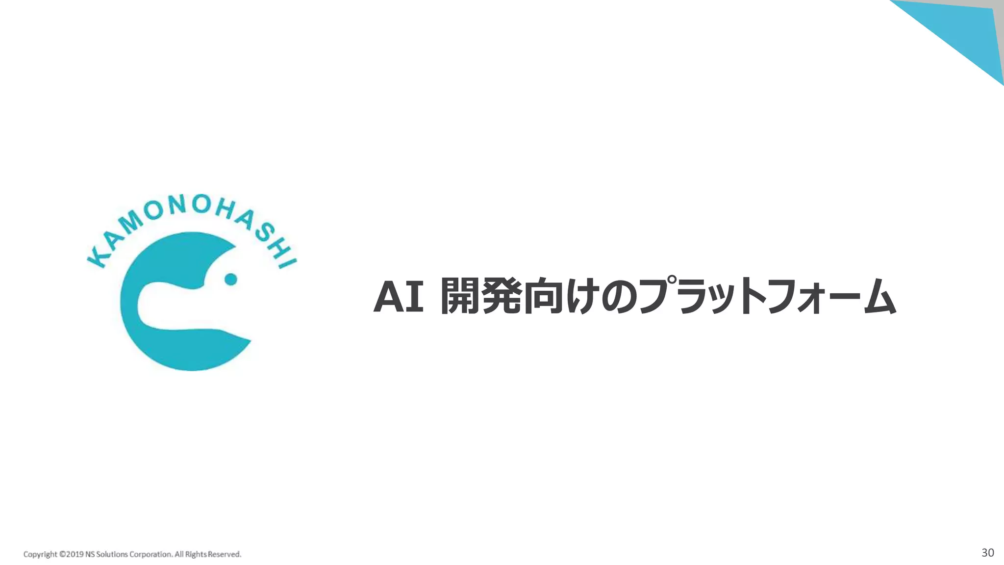 30
AI 開発向けのプラットフォーム
 