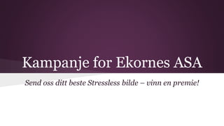 Kampanje for Ekornes ASA 
Send oss ditt beste Stressless bilde – vinn en premie! 
 