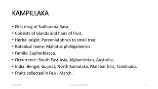 KAMPILLAKA
• First drug of Sadharana Rasa.
• Consists of Glands and hairs of fruit.
• Herbal origin: Perennial shrub to small tree.
• Botanical name: Mallotus phillippinensis
• Family: Euphorbiacea.
• Occurrence: South East Asia, Afghanishtan, Australia;
• India: Bengal, Gujarat, North Karnataka, Malabar hills, Tamilnadu.
• Fruits collected in Feb - March.
07-07-2024 dr aparna nandakumar 2
 