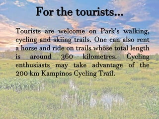 For the tourists…
Tourists are welcome on Park's walking,
cycling and skiing trails. One can also rent
a horse and ride on trails whose total length
is around 360 kilometres. Cycling
enthusiasts may take advantage of the
200 km Kampinos Cycling Trail.
 
