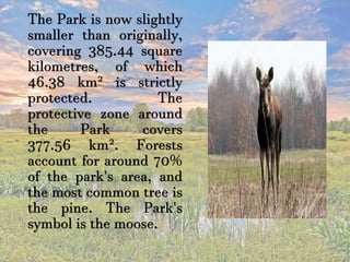 The Park is now slightly
smaller than originally,
covering 385.44 square
kilometres, of which
46.38 km² is strictly
protected. The
protective zone around
the Park covers
377.56 km². Forests
account for around 70%
of the park's area, and
the most common tree is
the pine. The Park's
symbol is the moose.
 