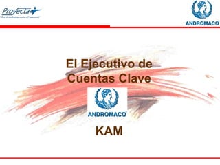 El Ejecutivo de
Cuentas Clave
KAM
 