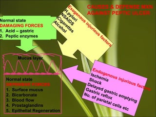 CAUSES & DEFENSE MXN
AGAINST PEPTIC ULCER
Normal state
DAMAGING FORCES
1. Acid – gastric
2. Peptic enzymes
Normal state
DEFENSIVE FORCES
1. Surface mucus
2. Bicarbonate
3. Blood flow
4. Prostaglandins
5. Epithelial Regeneration
Mucus layer
Exogenous
injurious
factors
H.pylori
NSAIDS
Cigarettes
Alcohol
Endogenous injurious factors
IschemiaShockDelayed gastric emptying
Gastric reflux
No. of parietal cells etc
 
