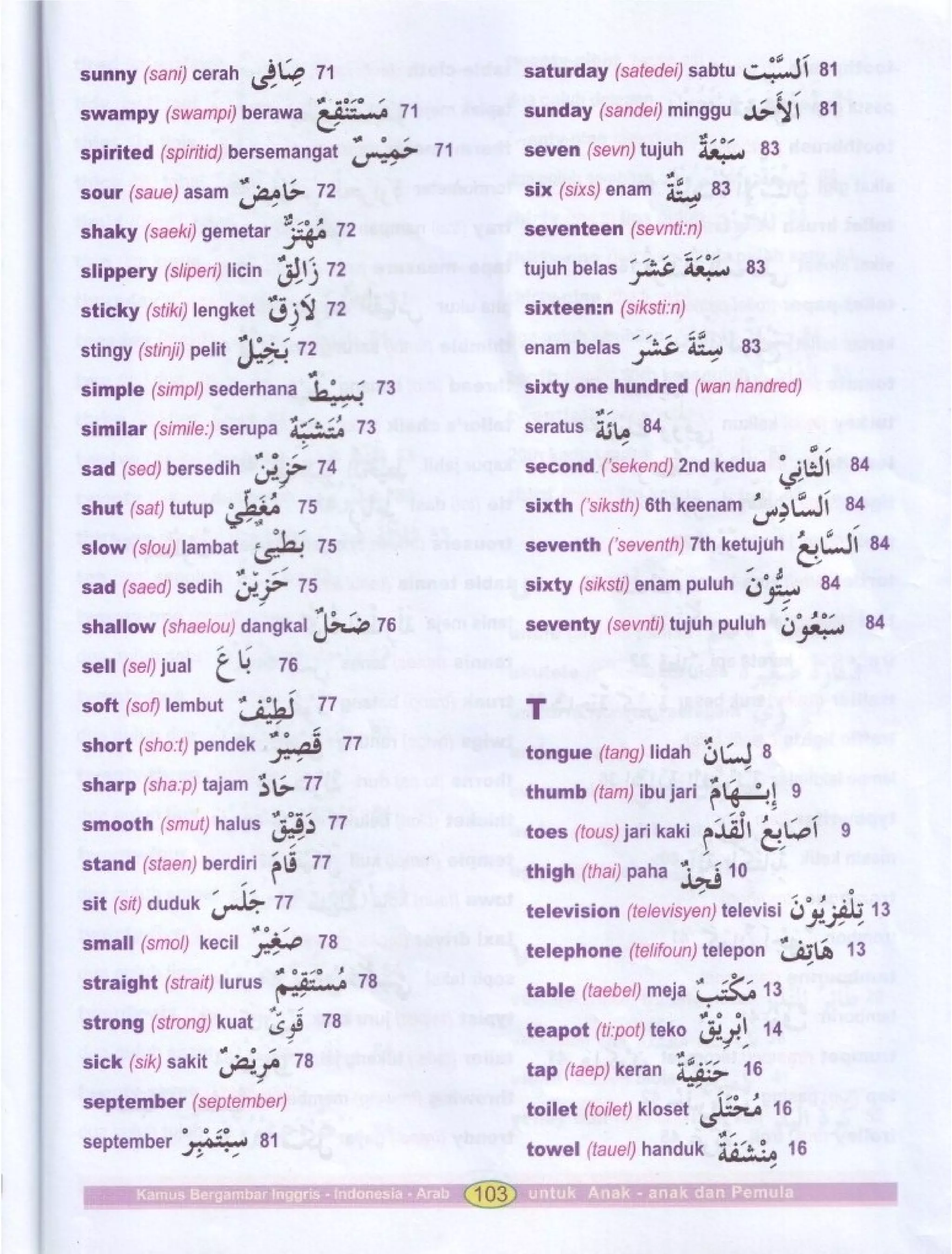 Kamus Bergambar Bahasa Indonesia Bahasa Inggris Bahasa Arab