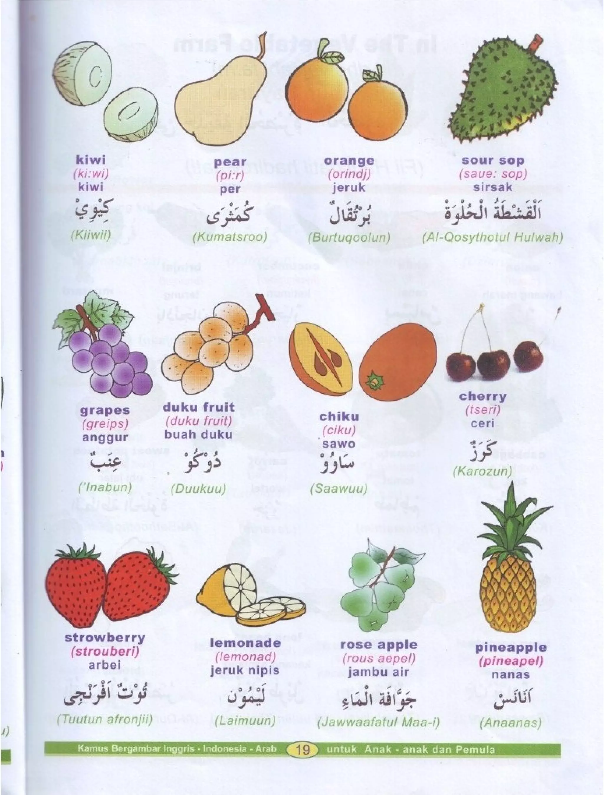 Kamus Bergambar Bahasa Indonesia Bahasa Inggris Bahasa Arab