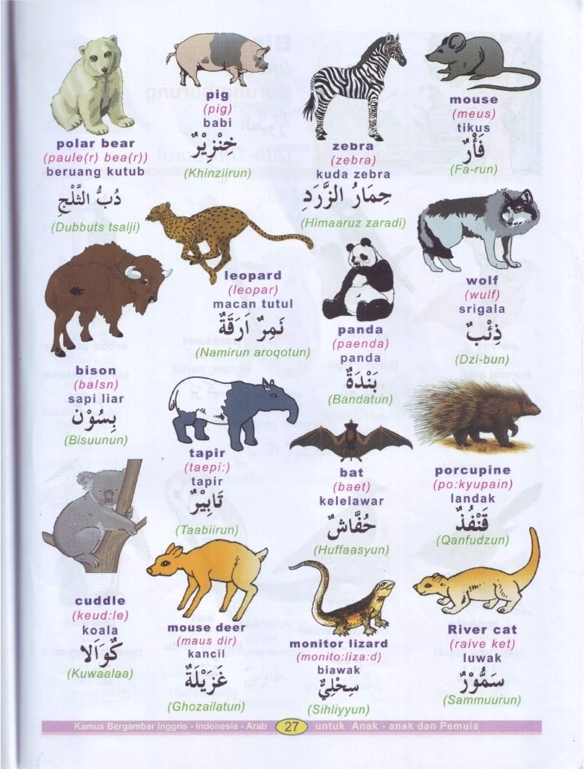 Kamus Bergambar Bahasa Indonesia Bahasa Inggris Bahasa Arab