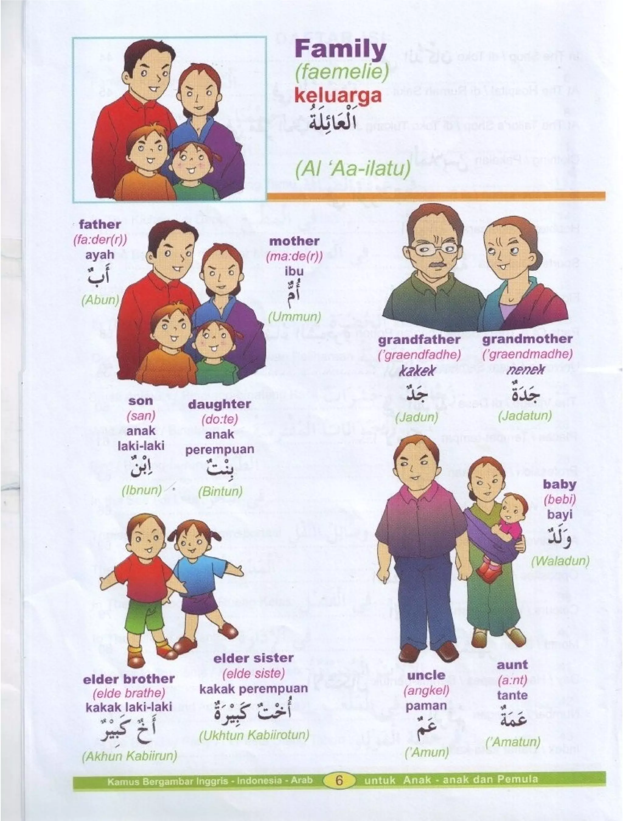 Kamus Bergambar Bahasa Indonesia Bahasa Inggris Bahasa Arab