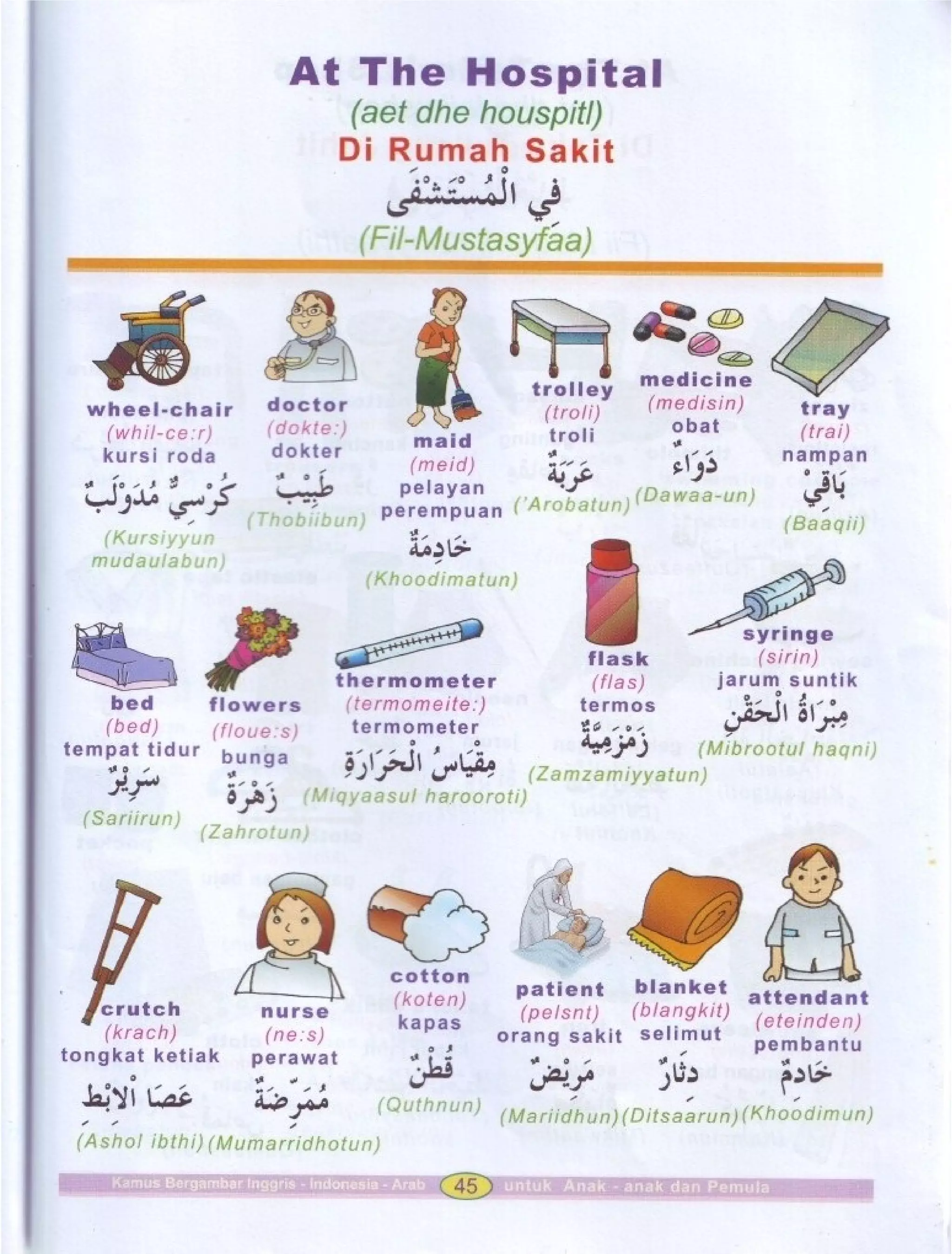 Kamus Bergambar Bahasa Indonesia Bahasa Inggris Bahasa Arab