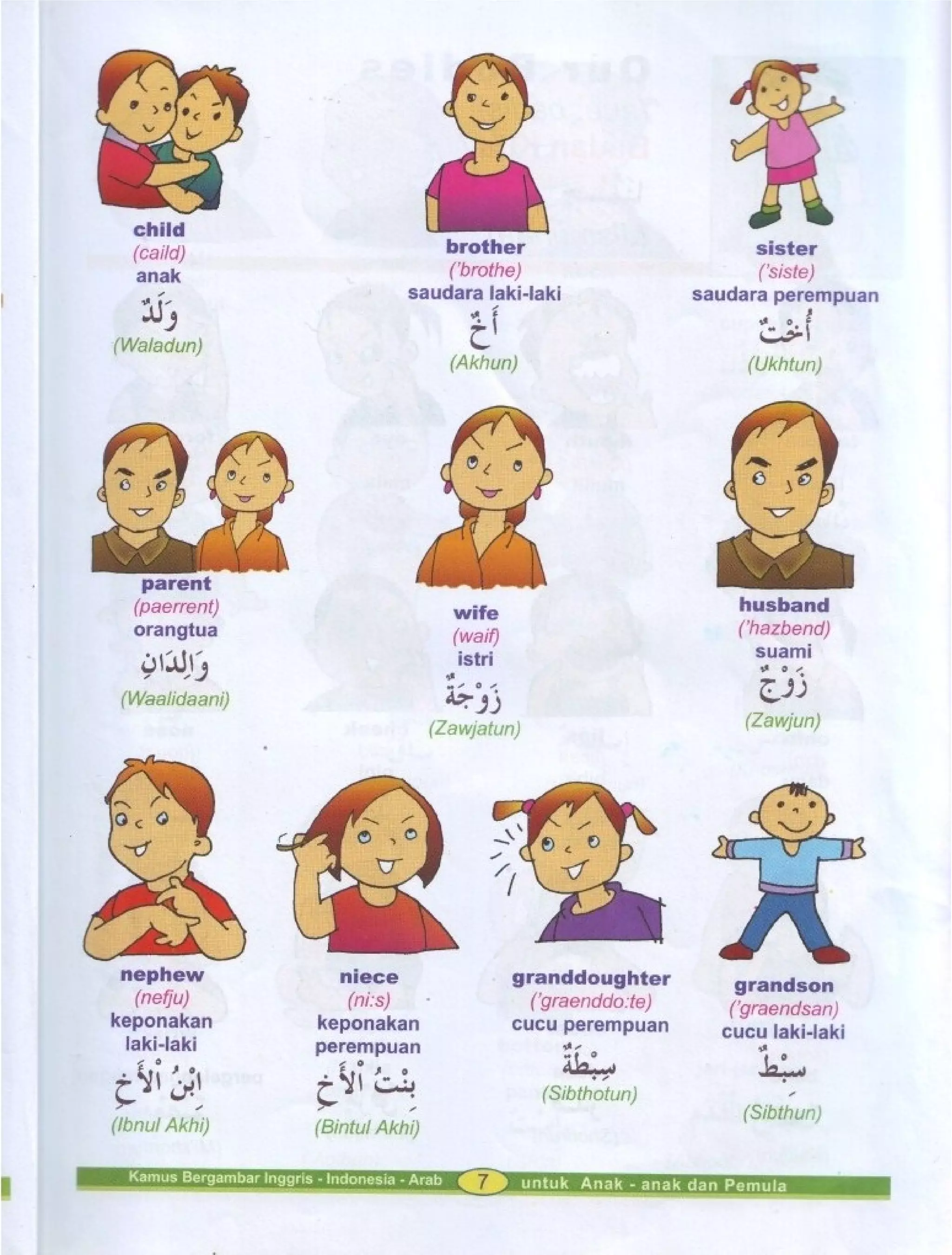 Kamus Bergambar Bahasa Indonesia Bahasa Inggris Bahasa Arab