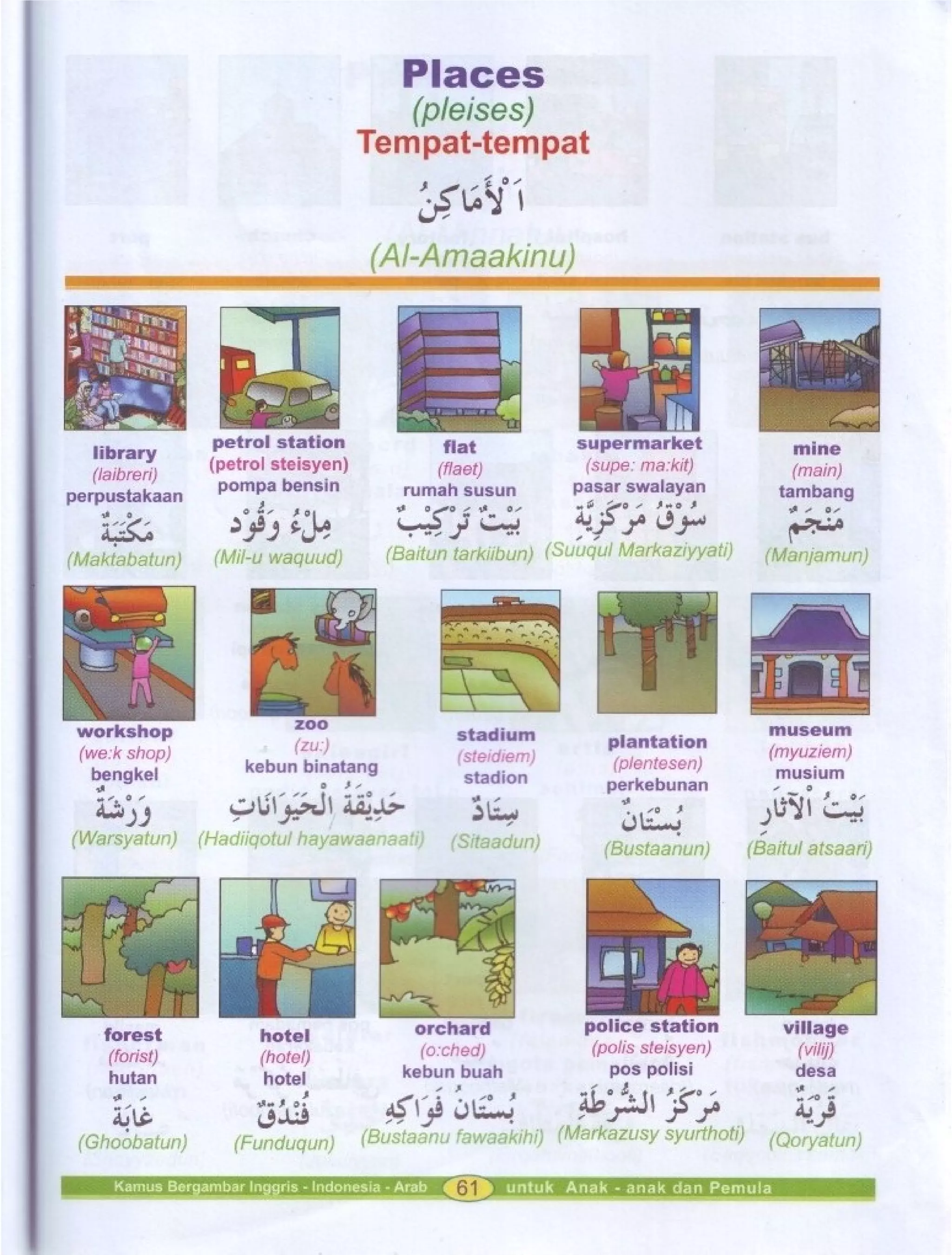 Kamus Bergambar Bahasa Indonesia Bahasa Inggris Bahasa Arab