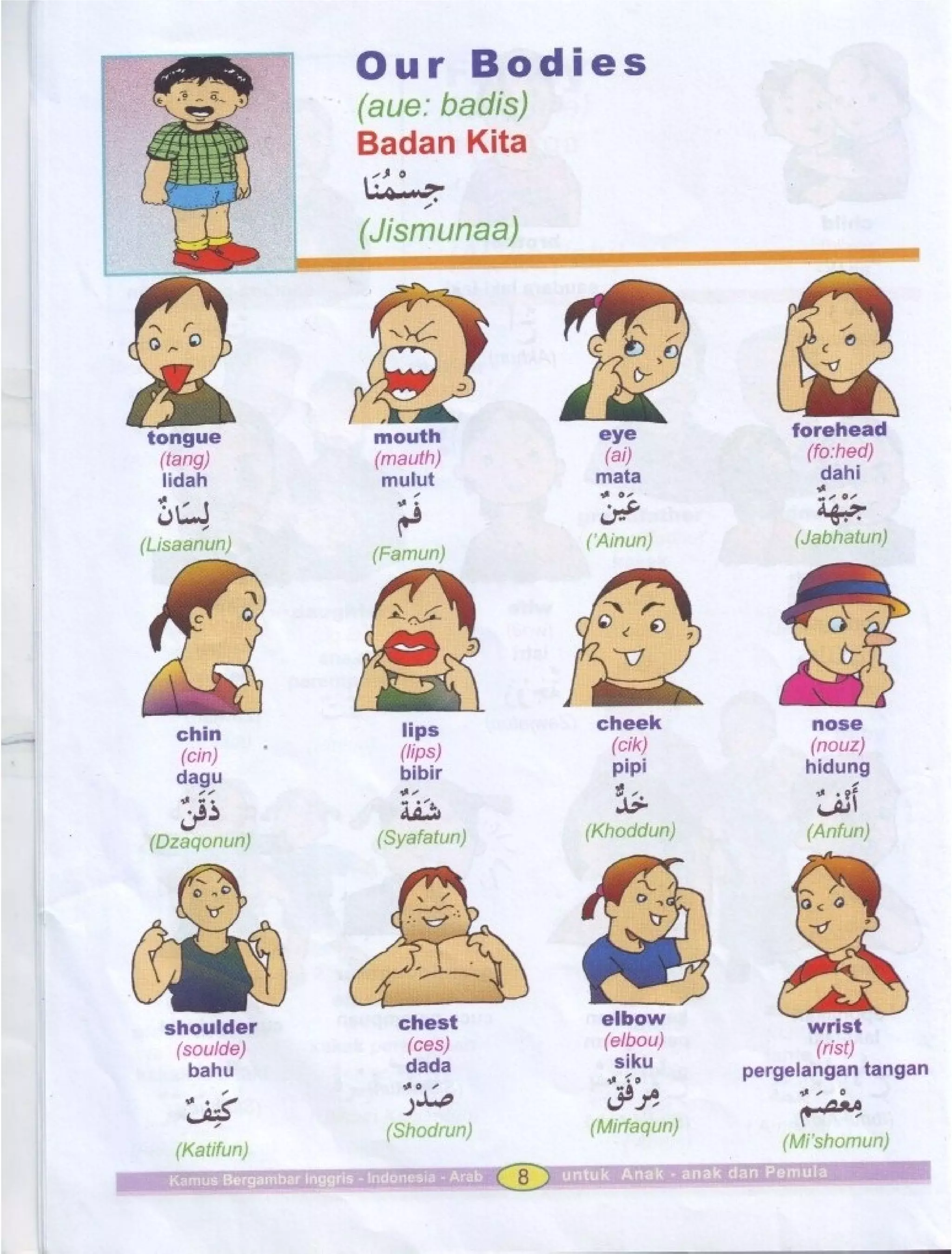 Kamus Bergambar Bahasa Indonesia Bahasa Inggris Bahasa Arab