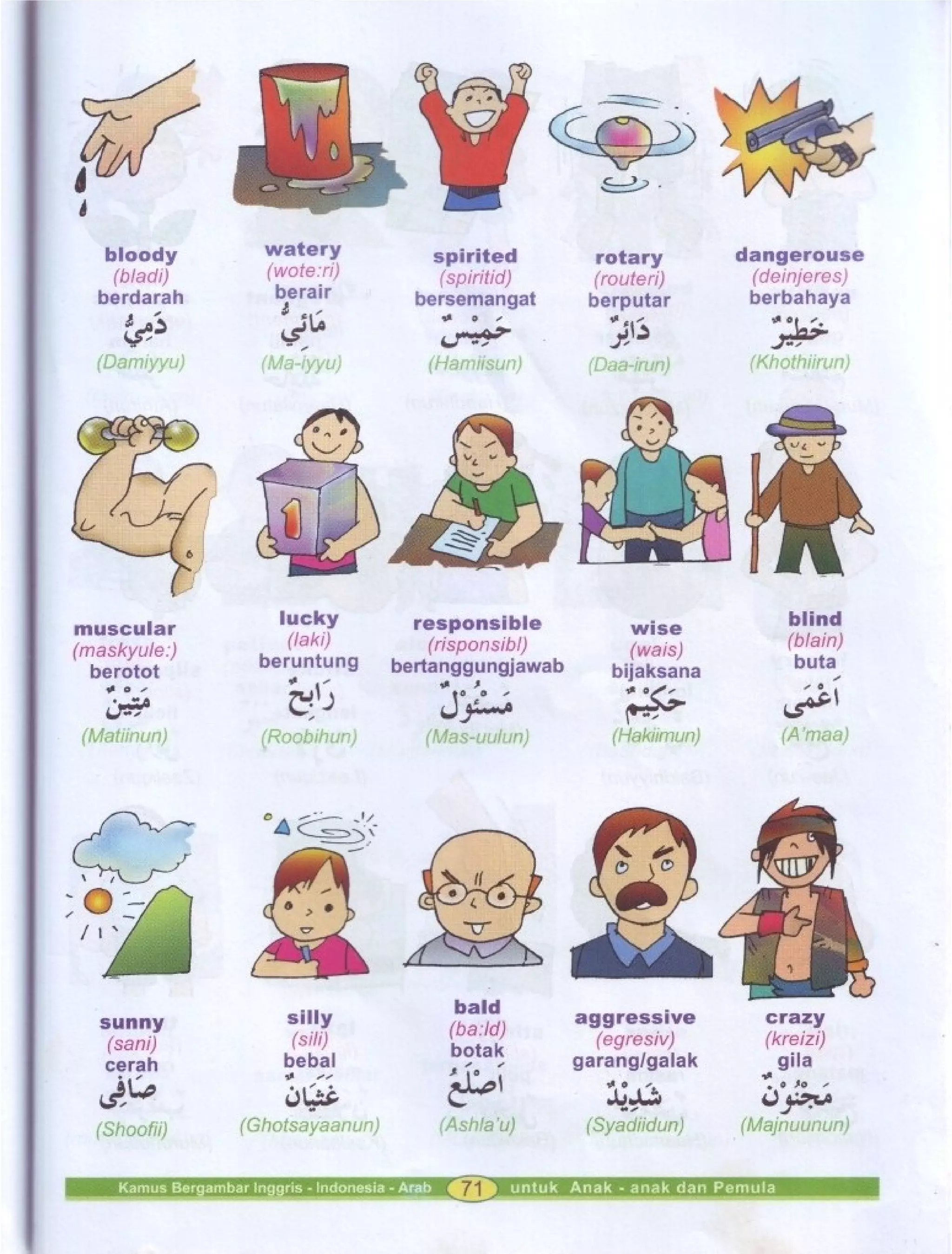 Kamus Bergambar Bahasa Indonesia Bahasa Inggris Bahasa Arab