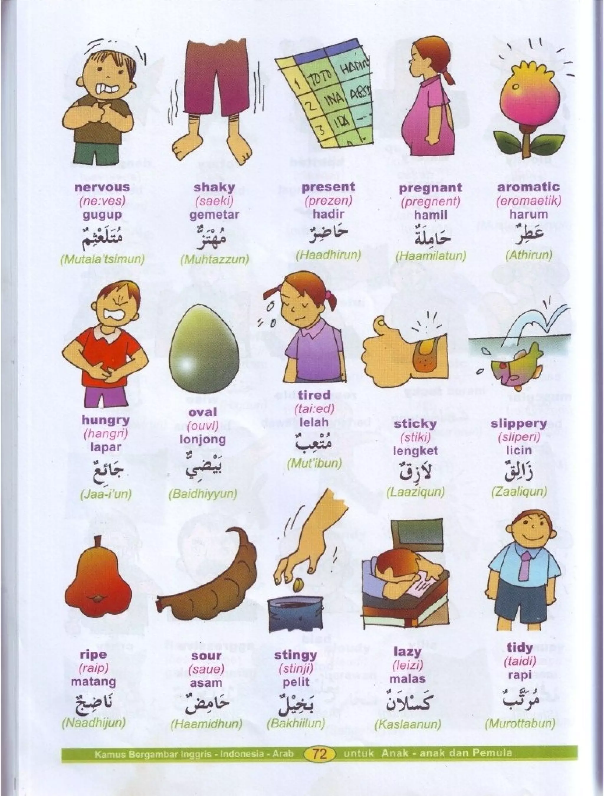 Kamus Bergambar Bahasa Indonesia Bahasa Inggris Bahasa Arab