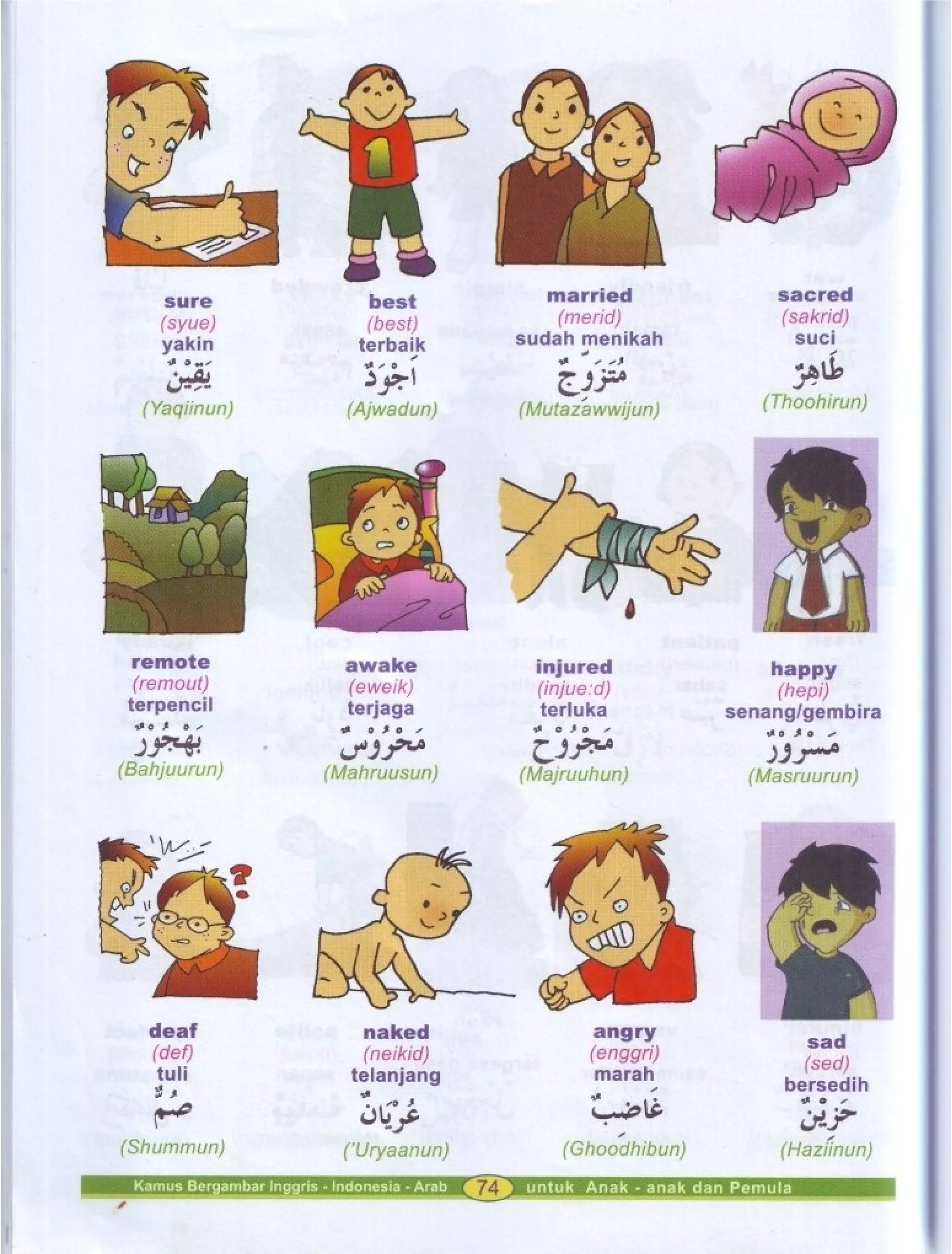 Kamus Bergambar Bahasa Indonesia Bahasa Inggris Bahasa Arab