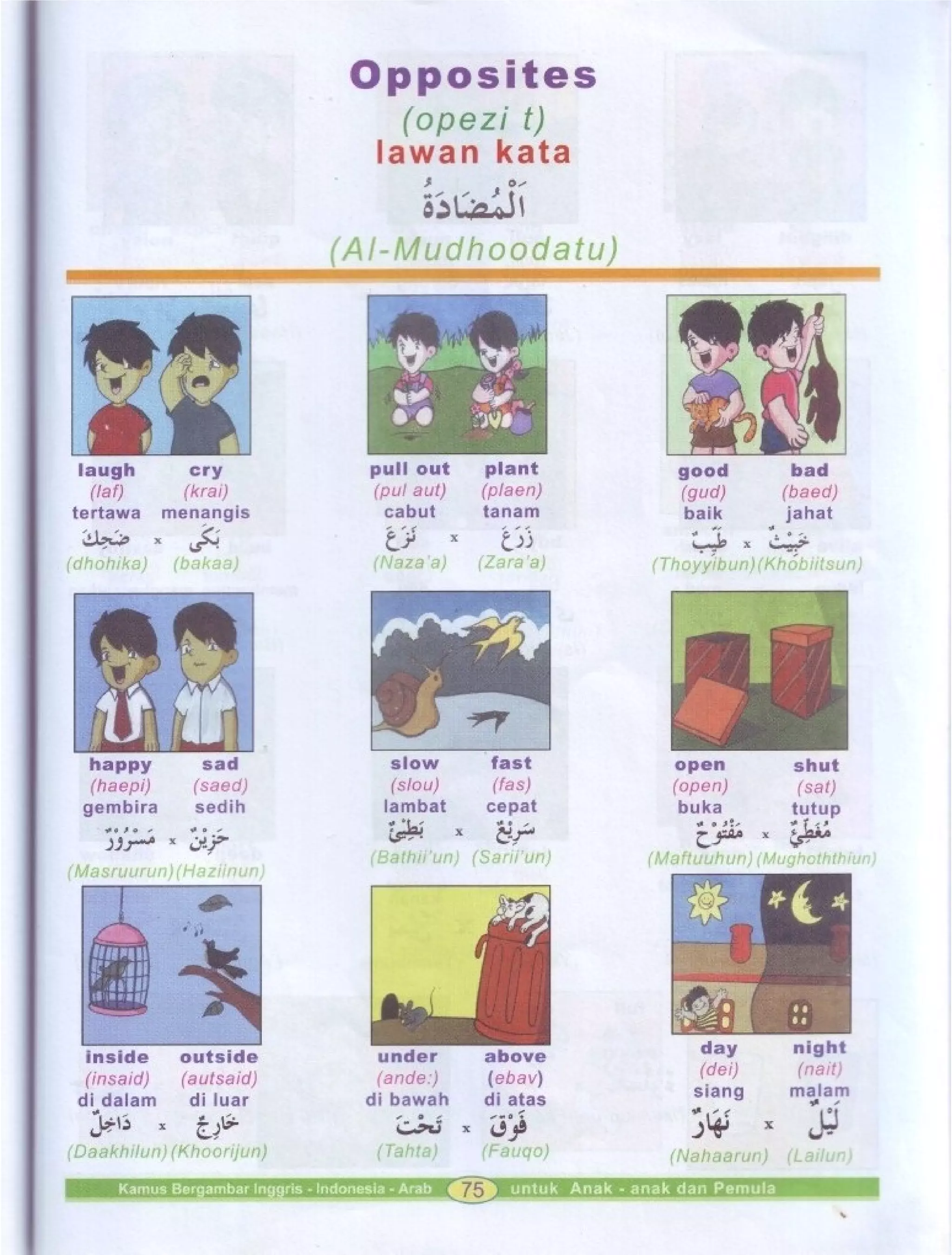 Kamus Bergambar Bahasa Indonesia Bahasa Inggris Bahasa Arab
