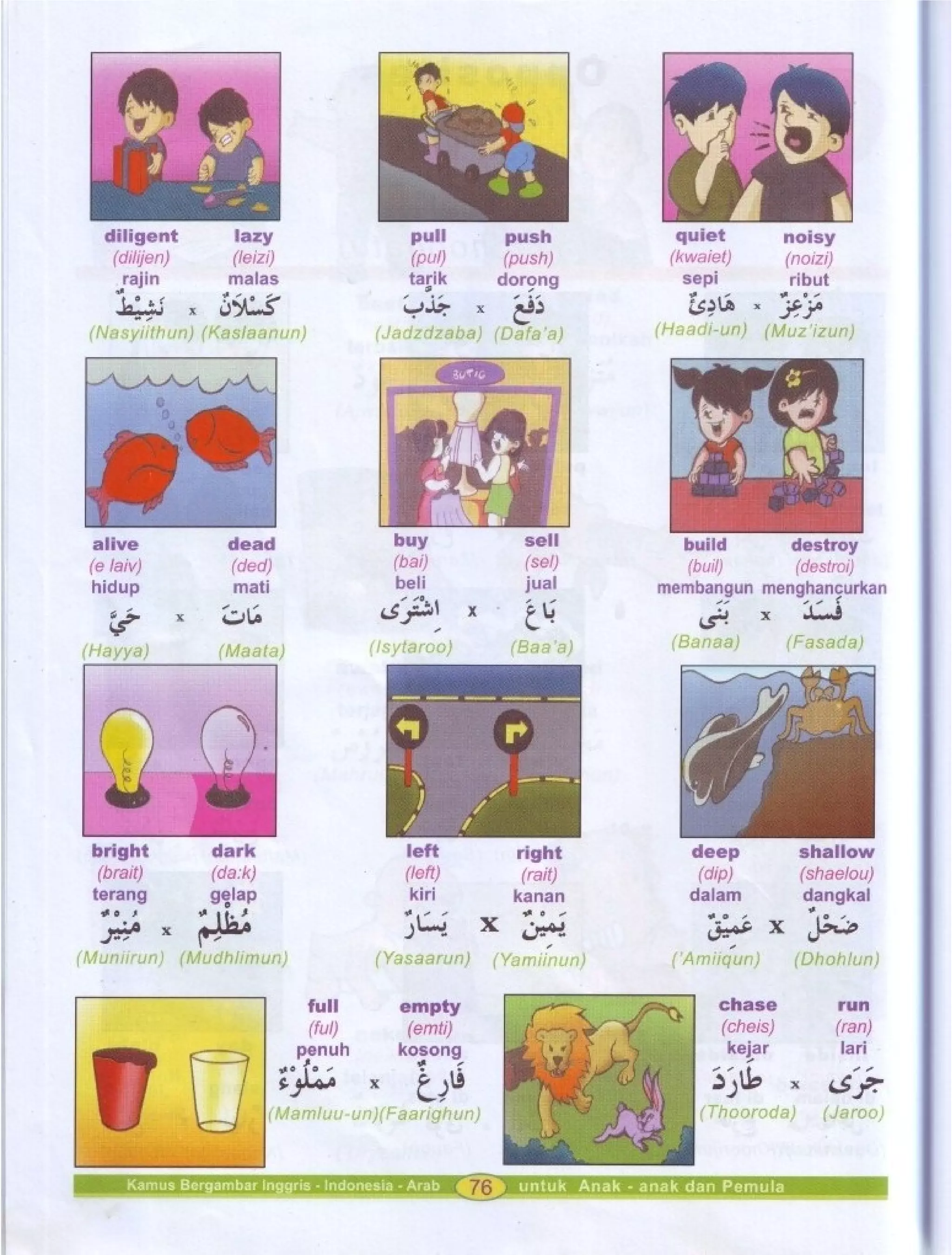 Kamus Bergambar Bahasa Indonesia Bahasa Inggris Bahasa Arab