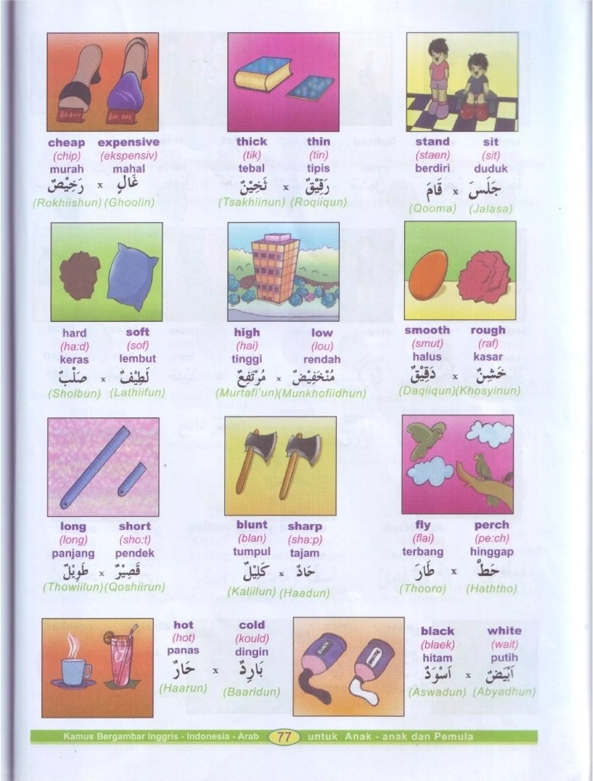 Kamus Bergambar Bahasa Indonesia Bahasa Inggris Bahasa Arab