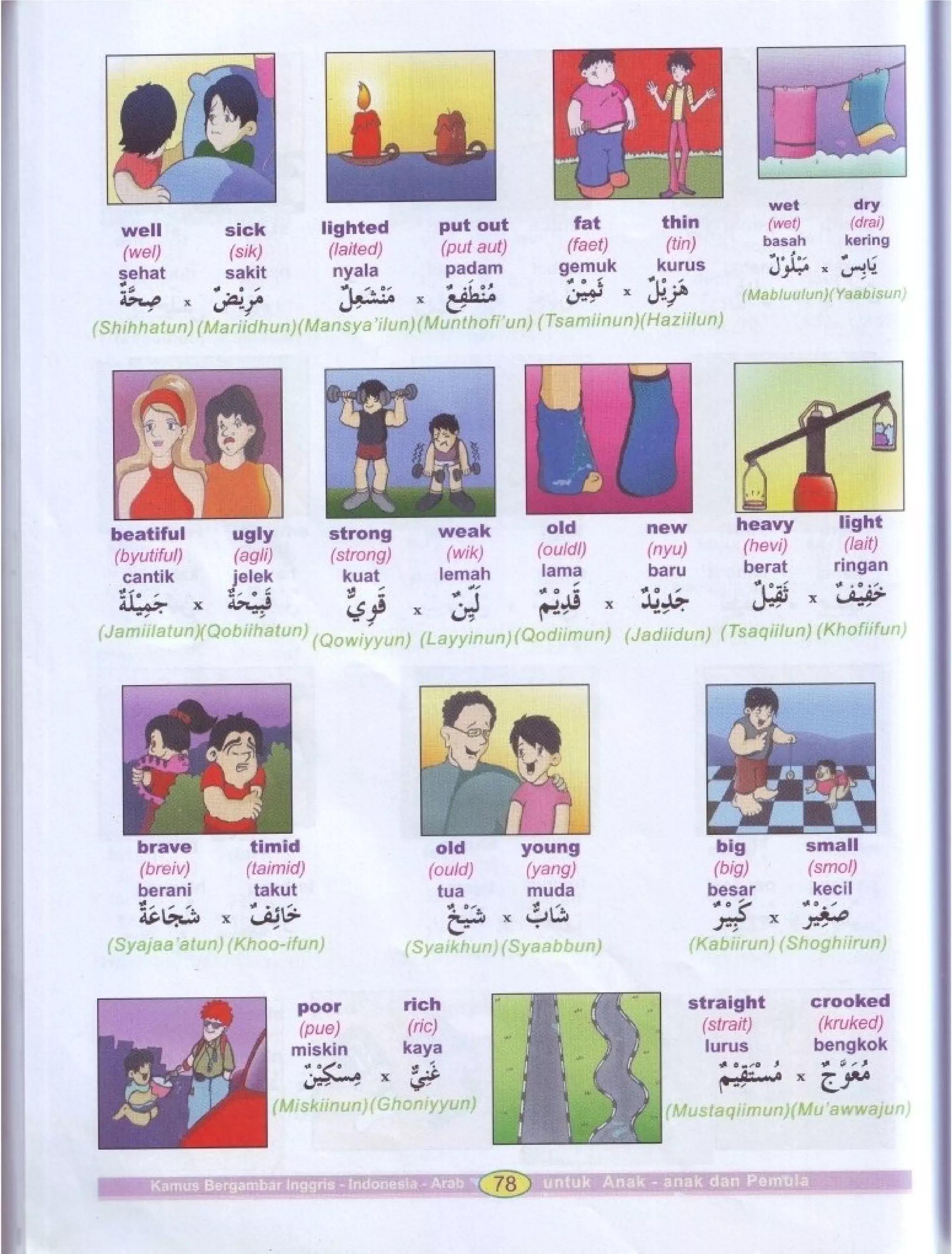 Kamus Bergambar Bahasa Indonesia Bahasa Inggris Bahasa Arab