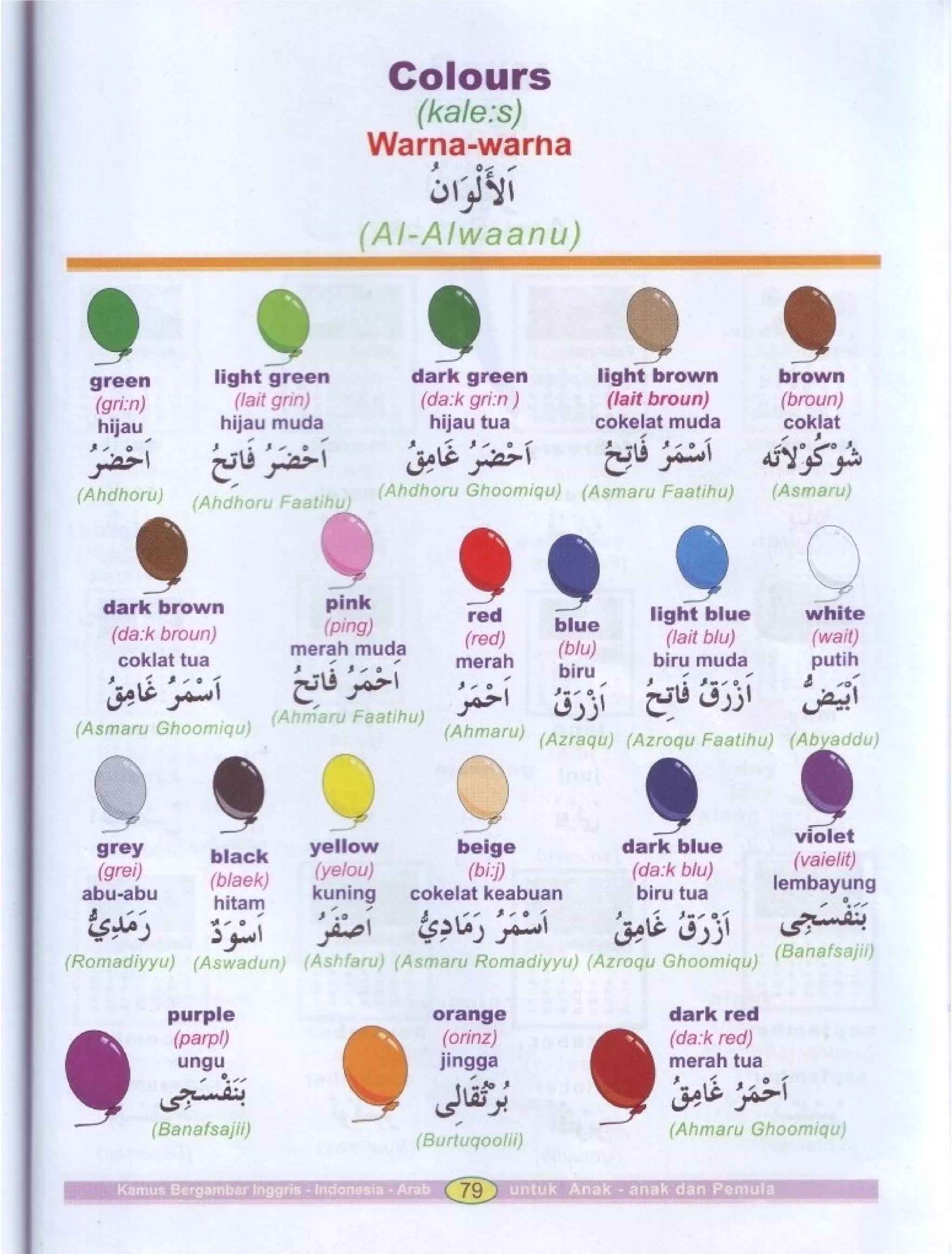 Kamus Bergambar Bahasa Indonesia Bahasa Inggris Bahasa Arab