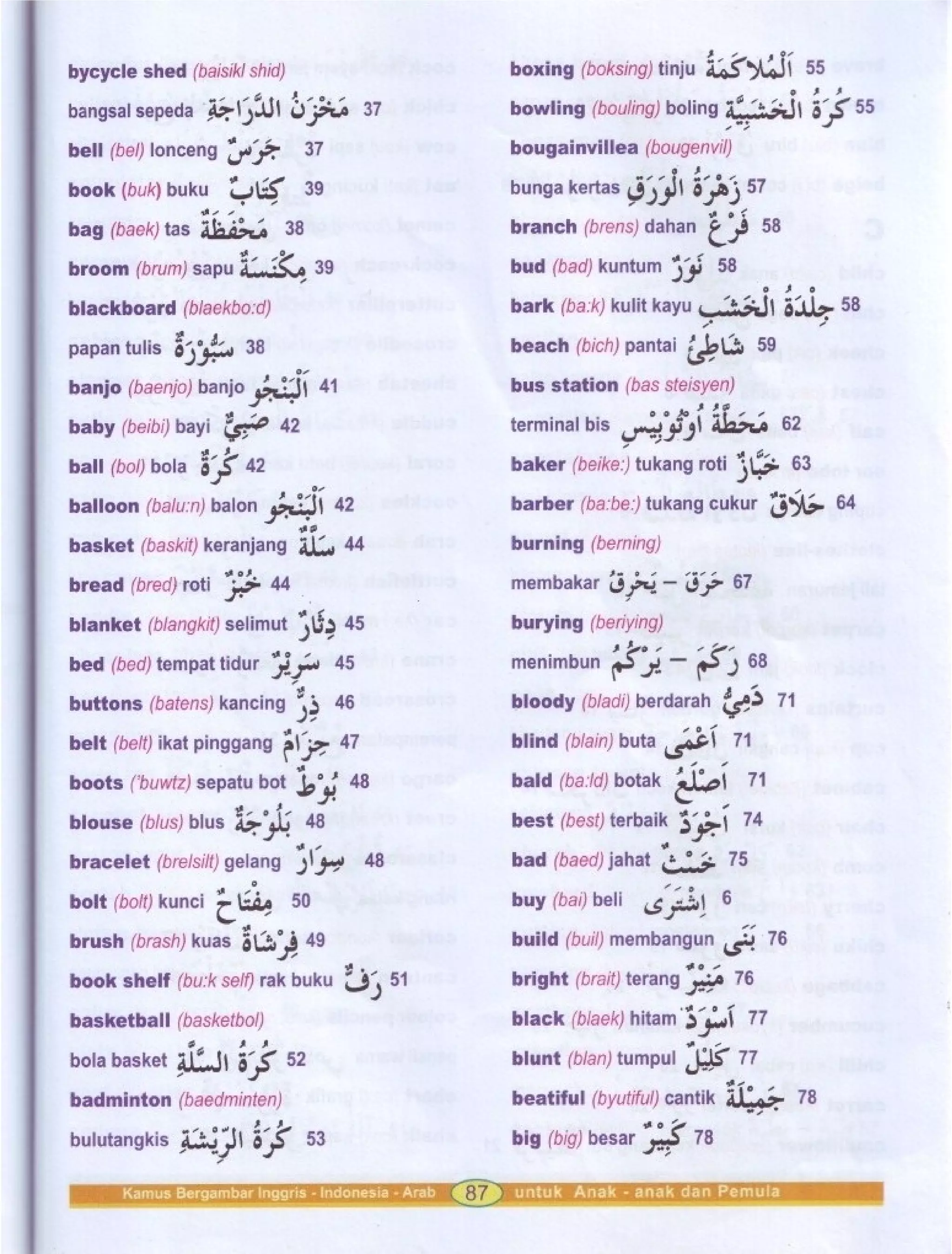 Kamus Bergambar Bahasa Indonesia Bahasa Inggris Bahasa Arab