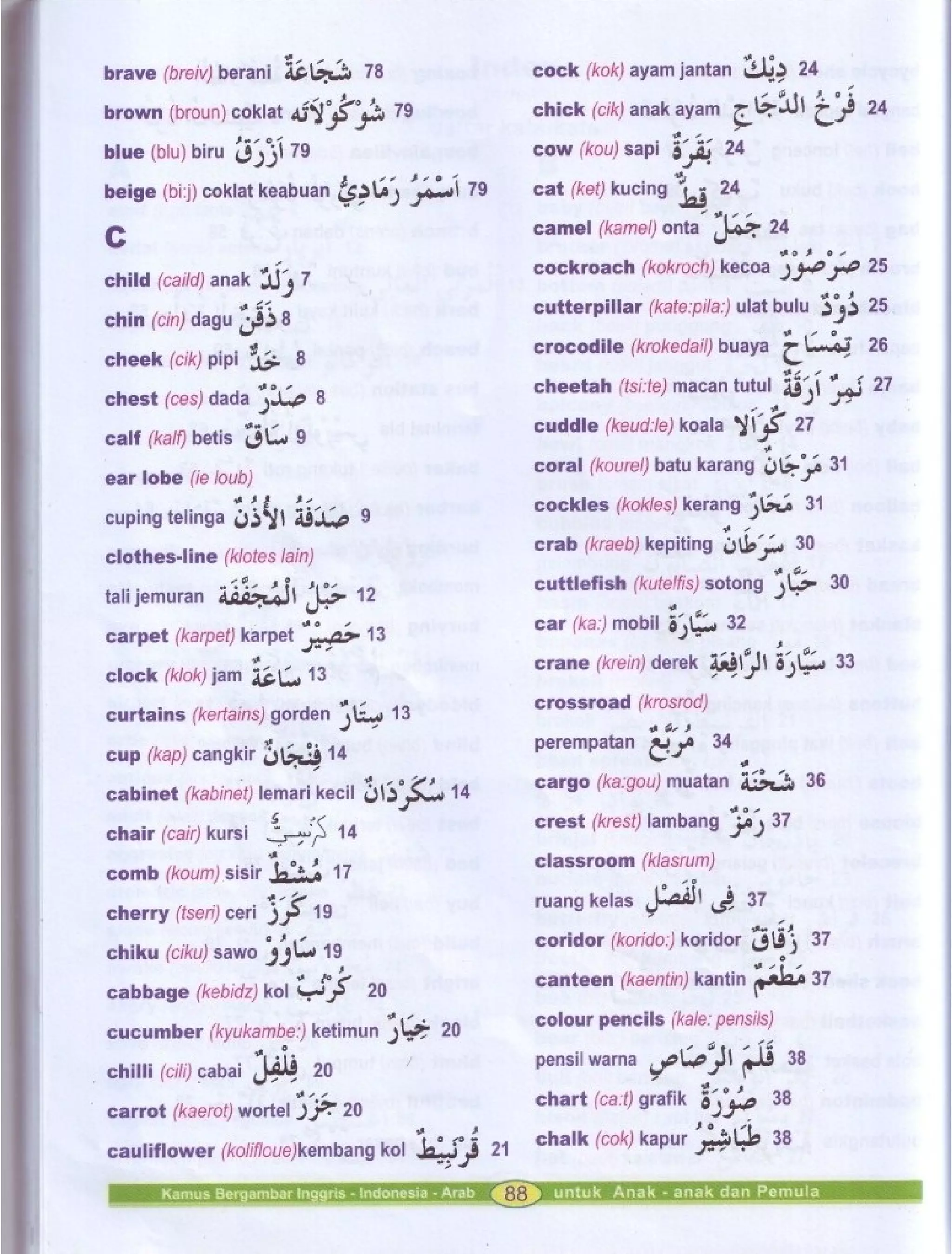 Kamus Bergambar Bahasa Indonesia Bahasa Inggris Bahasa Arab