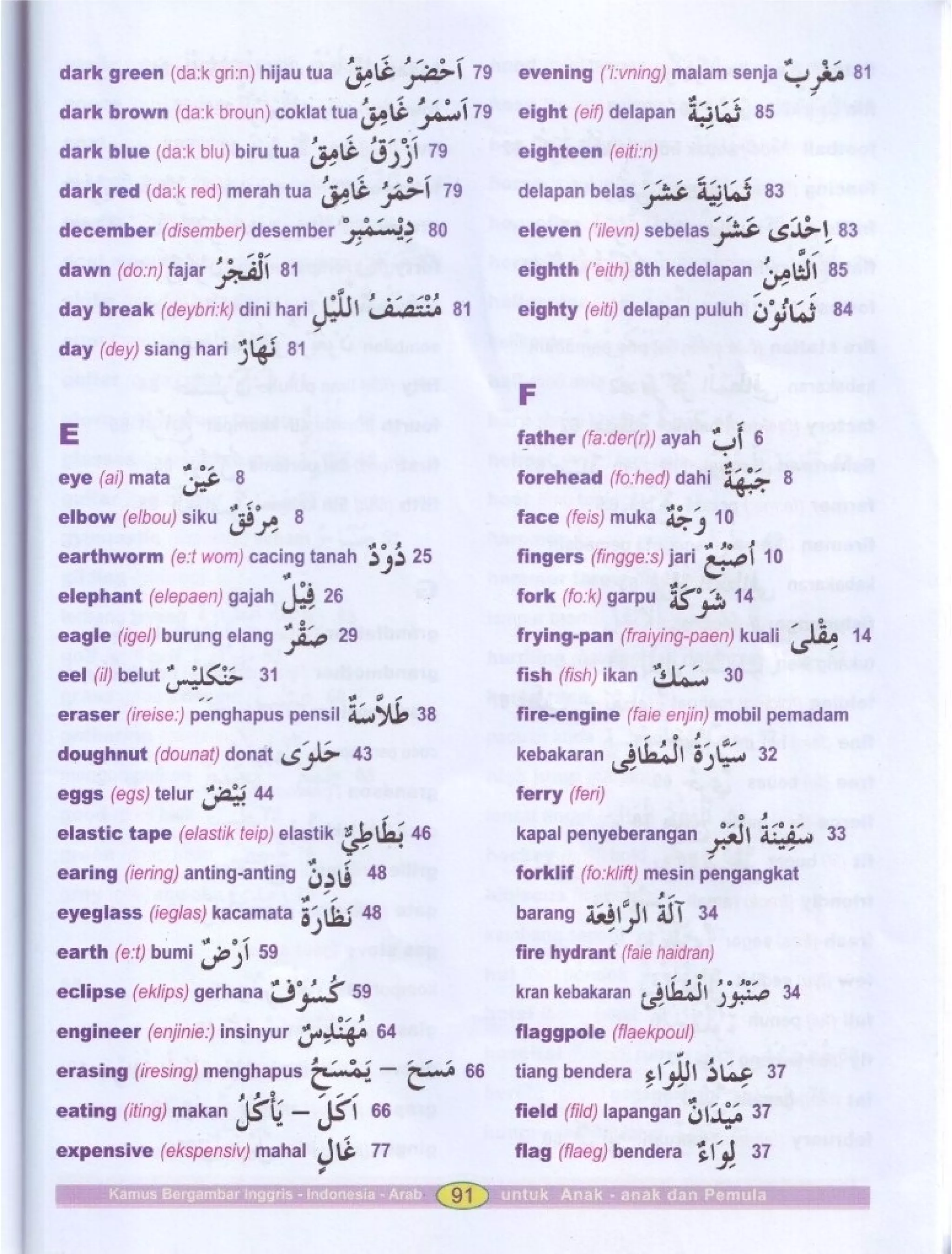 Kamus Bergambar Bahasa Indonesia Bahasa Inggris Bahasa Arab