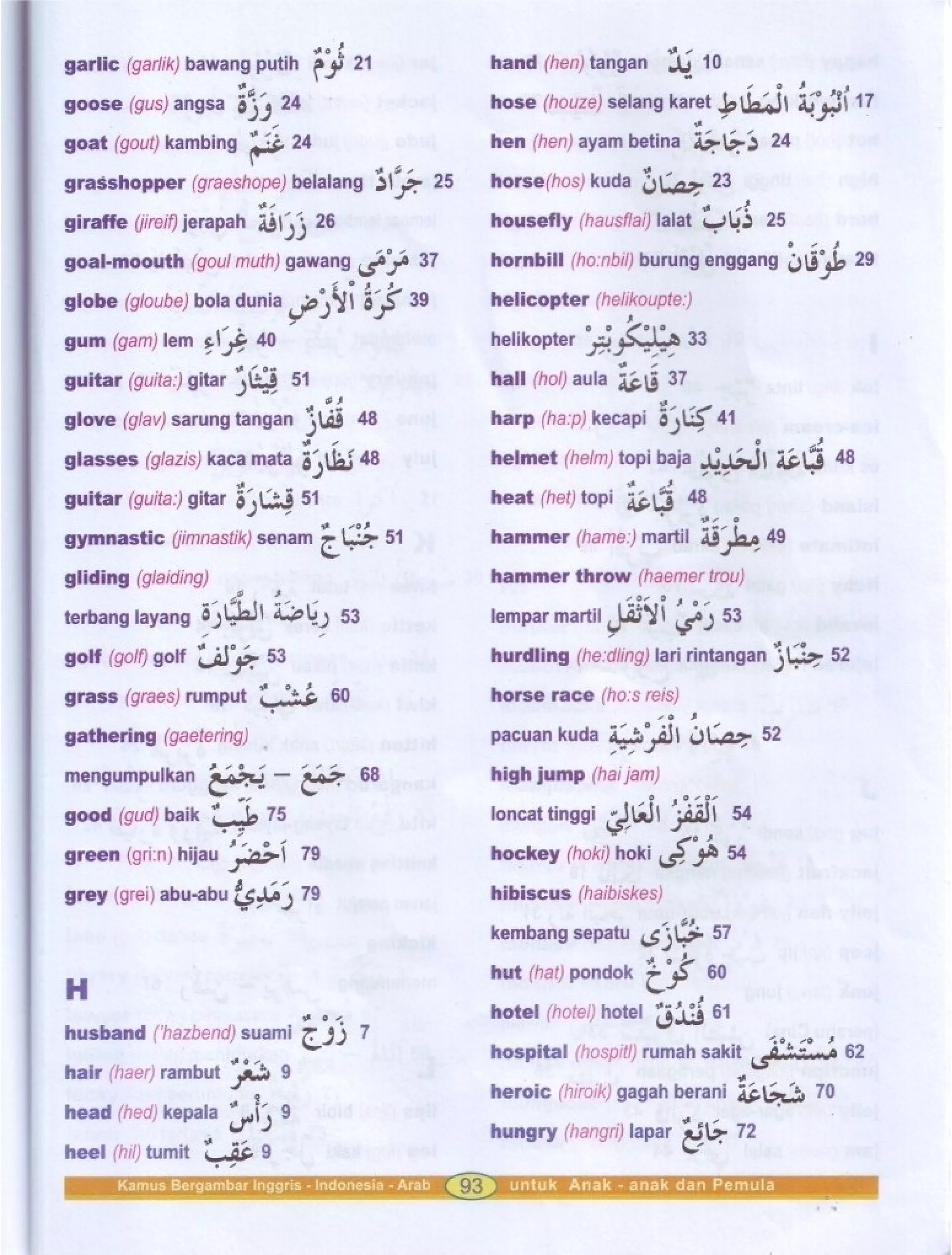 Kamus Bergambar Bahasa Indonesia Bahasa Inggris Bahasa Arab