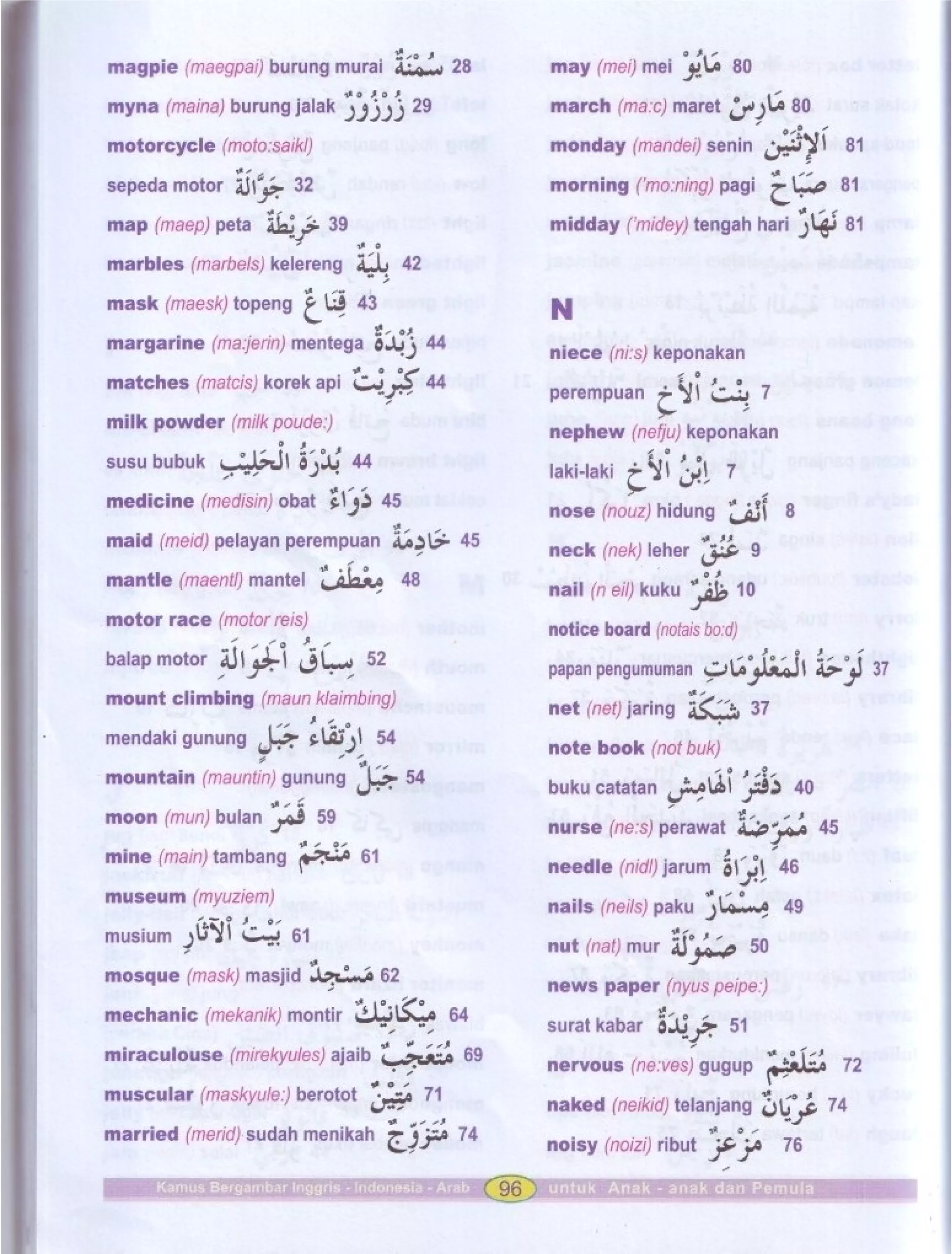 Kamus Bergambar Bahasa Indonesia Bahasa Inggris Bahasa Arab