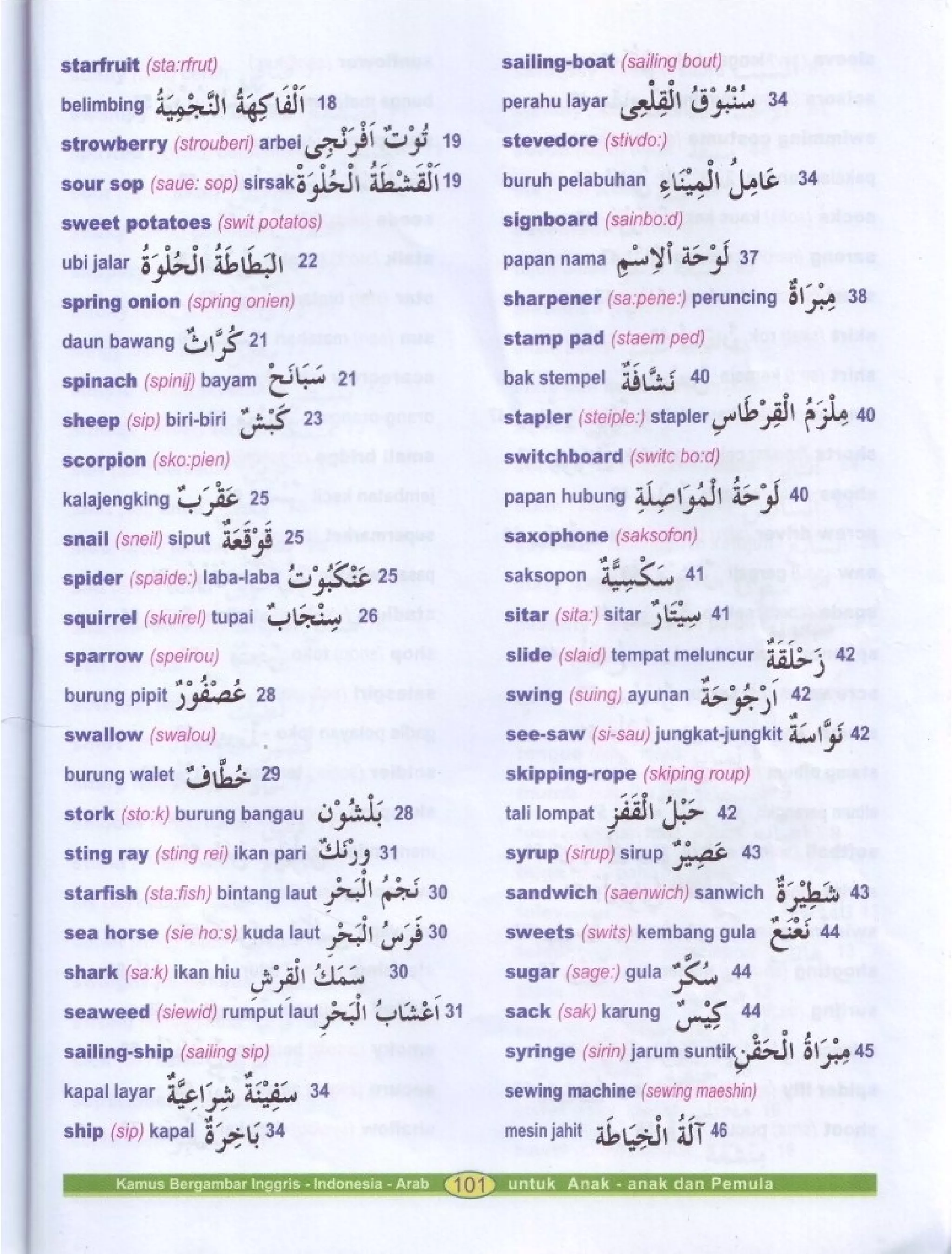 Kamus Bergambar Bahasa Indonesia Bahasa Inggris Bahasa Arab