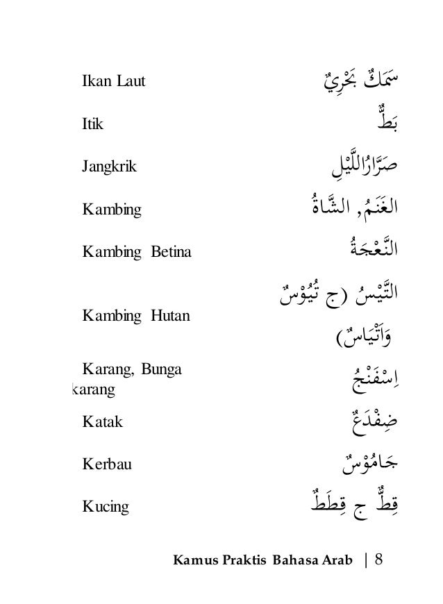 Kambing Dalam Bahasa Arab Itik Dalam Bahasa Arab - Lertyi