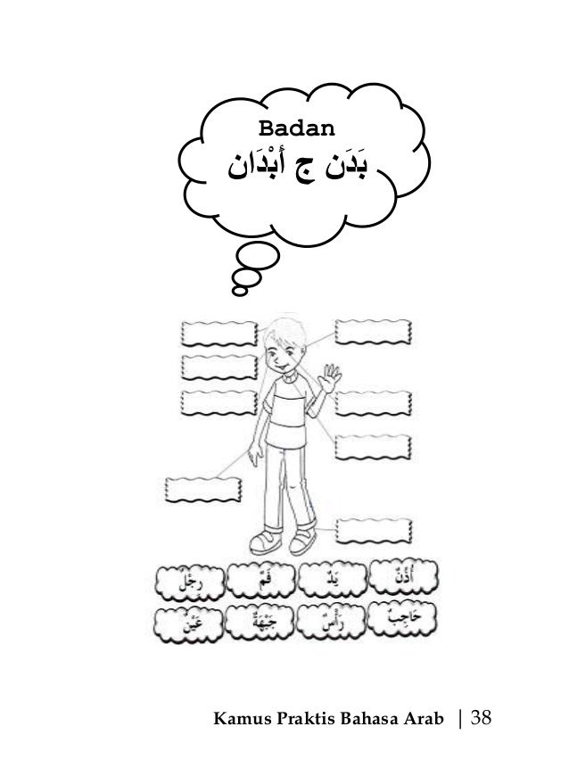 Belajar Bahasa  Arab  Anggota  Tubuh  Manusia Belajar Bahasa  