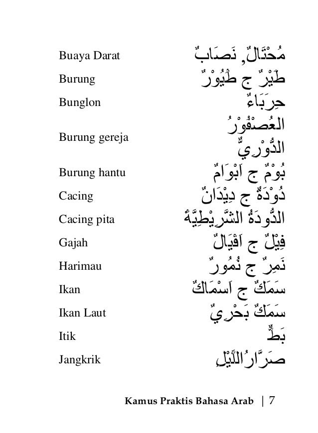 Kamus praktis bahasa  arab 