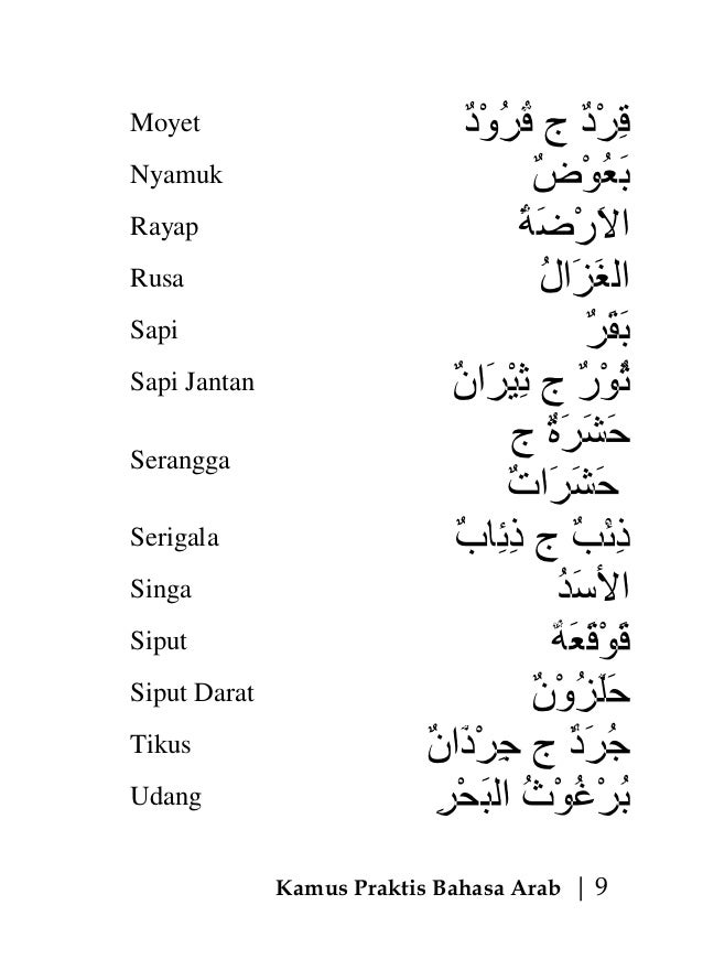 Kuda dalam bahasa arab Arabic t Learning arabic 
