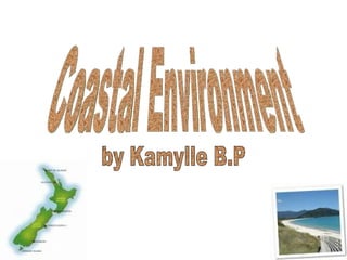 Coastal Environment by Kamylle B.P 