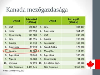 Kanada mezőgazdasága
Ország
Szántóföld
(1000ha)
Ország
Rét, legelő
(1000ha)
1. USA 160 162 1. íԲ 393 477
2. India 157 350 2. Ausztrália 361 595
3. ǲǰá 121 500 3. USA 248 500
4. íԲ 111 595 4. Brazília 196 000
5. Brazília 71 930 5. Kazahsztán 185 000
6. Ausztrália 47 678 6. Szaúd-Arábia 170 000
7. Kanada 42 968 7. Mongólia 112 893
8. Argentína 38 048 8. Argentína 108 500
9. Nigéria 36 000 9. ǲǰá 91 980
10. Ukrajna 32 499 10. Dél-afrikai Közt. 83 928
Föld összesen 1 401 845 Föld összesen 3 365 930
forrás: FAO Yearbook, 2013
 
