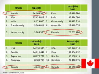 Ország repce (t)
búza (Mt)
2011
1. Kanada 14 164 500 1. íԲ 117 410 300
2. íԲ 13 426 012 2. India 86 874 000
3. India 8 179 000 3. ǲǰá 54 413 310
4. Գǰá 5 369 011 6. Ausztrália 27 410 076
5. Németország 3 869 500 7. Kanada 25 261 400
Ország
szójabab (t)
2011
kukorica (t)
2011
1. USA 84 191 930 1. USA 313 948 610
2. Brazília 74 815 447 2. íԲ 192 904 232
3. Argentína 48 878 771 3. Brazília 55 600 415
6. Paraguay 8 309 793 10. Románia 27 410 076
7. Kanada 4 246 300 11. Kanada 10 688 700
forrás: FAO Yearbook, 2013
 