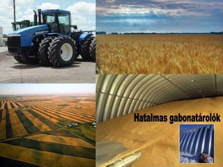 Mezőgazdaság -FARMOKON
 