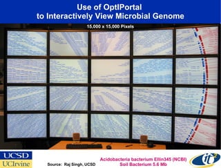 Use of OptIPortal  to Interactively View Microbial Genome Source:  Raj Singh, UCSD Acidobacteria bacterium Ellin345 (NCBI) Soil Bacterium 5.6 Mb 15,000 x 15,000 Pixels 