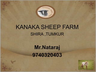 KANAKA SHEEP FARM
   SHIRA ,TUMKUR


     Mr.Nataraj
    9740320403
 
