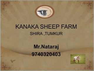 KANAKA SHEEP FARM
   SHIRA ,TUMKUR


     Mr.Nataraj
    9740320403
 