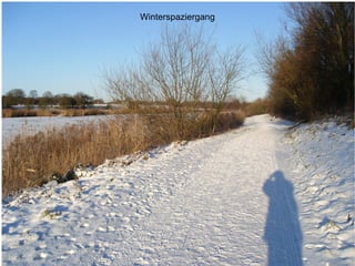 Winterspaziergang 