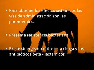 • Para obtener los efectos sistémicos las
  vías de administración son las
  parenterales.

• Presenta resistencia bacteriana.

• Existe sinergismo entre esta droga y los
  antibióticos beta - lactámicos
 