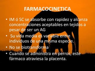 FARMACOCINETICA
• IM ó SC se absorbe con rapidez y alcanza
  concentraciones aceptables en tejidos a
  pesar de ser un AG
• Su vida media es variable entre
  individuos de una misma especie.
• No se biotransforma
• Cuando se administra en perros, este
  fármaco atraviesa la placenta.
 