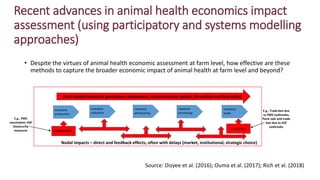 Participatory and quantitative systems modelling approach to animal health economics